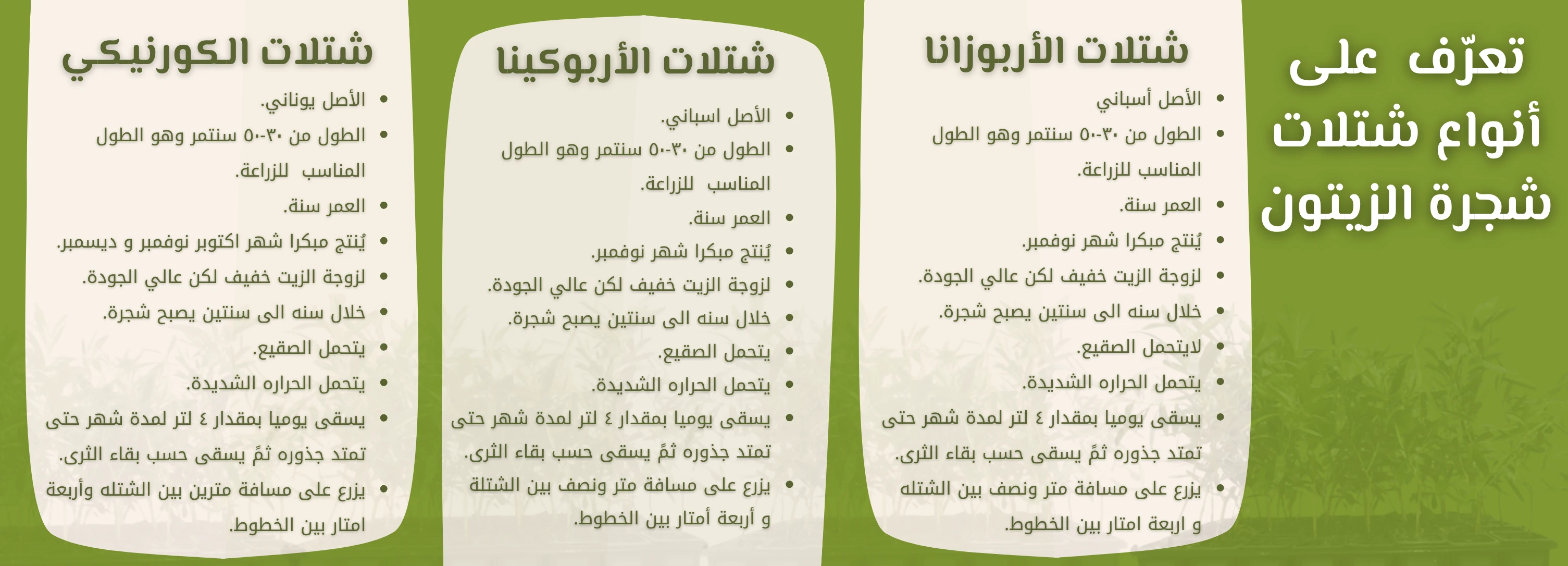 صورة لافتة